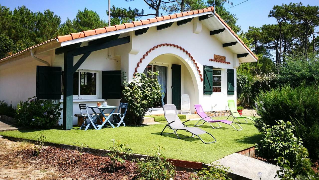 La Canopee 米尼赞海滩 外观 照片